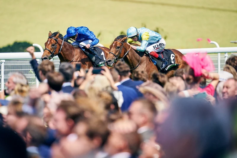 Horse racing hospitality inspiration