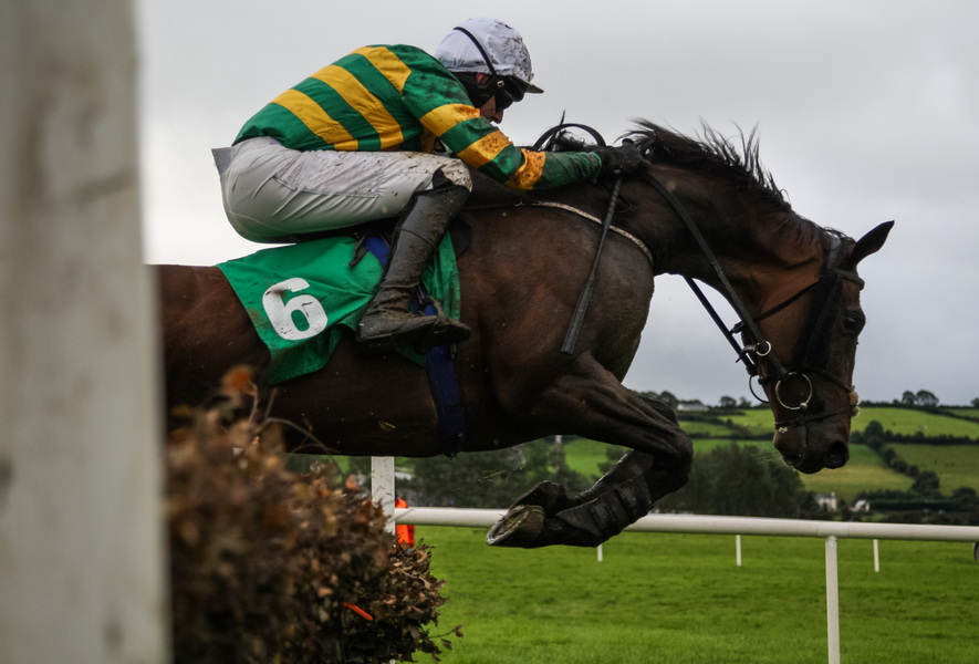 Cheltenham race course vip experience