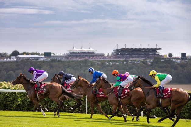 Qatar Goodwood Festival corporate hospitality